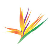 170x170 Paradise Stock Illustrations