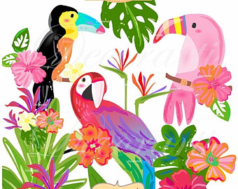 340x270 Parrot Clipart Etsy