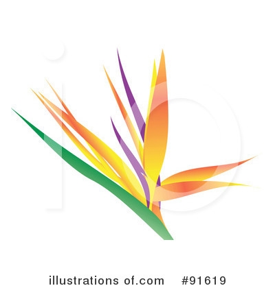 400x420 Bird Of Paradise Clipart