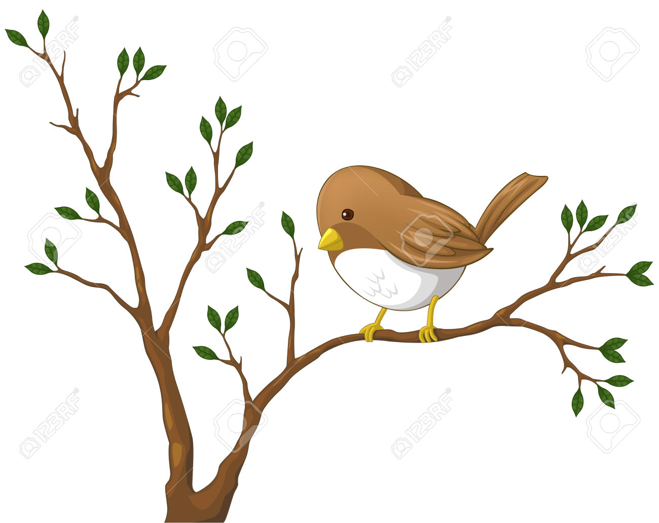 1300x1032 Top 95 Nightingale Clip Art
