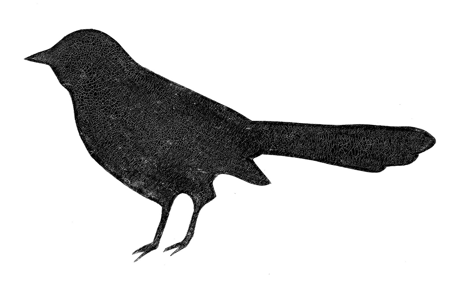 1600x993 Bird Silhouette Clip Art Clipart Image