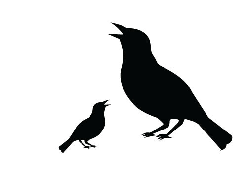 500x350 Copyright Free Bird Silhouette Clipart