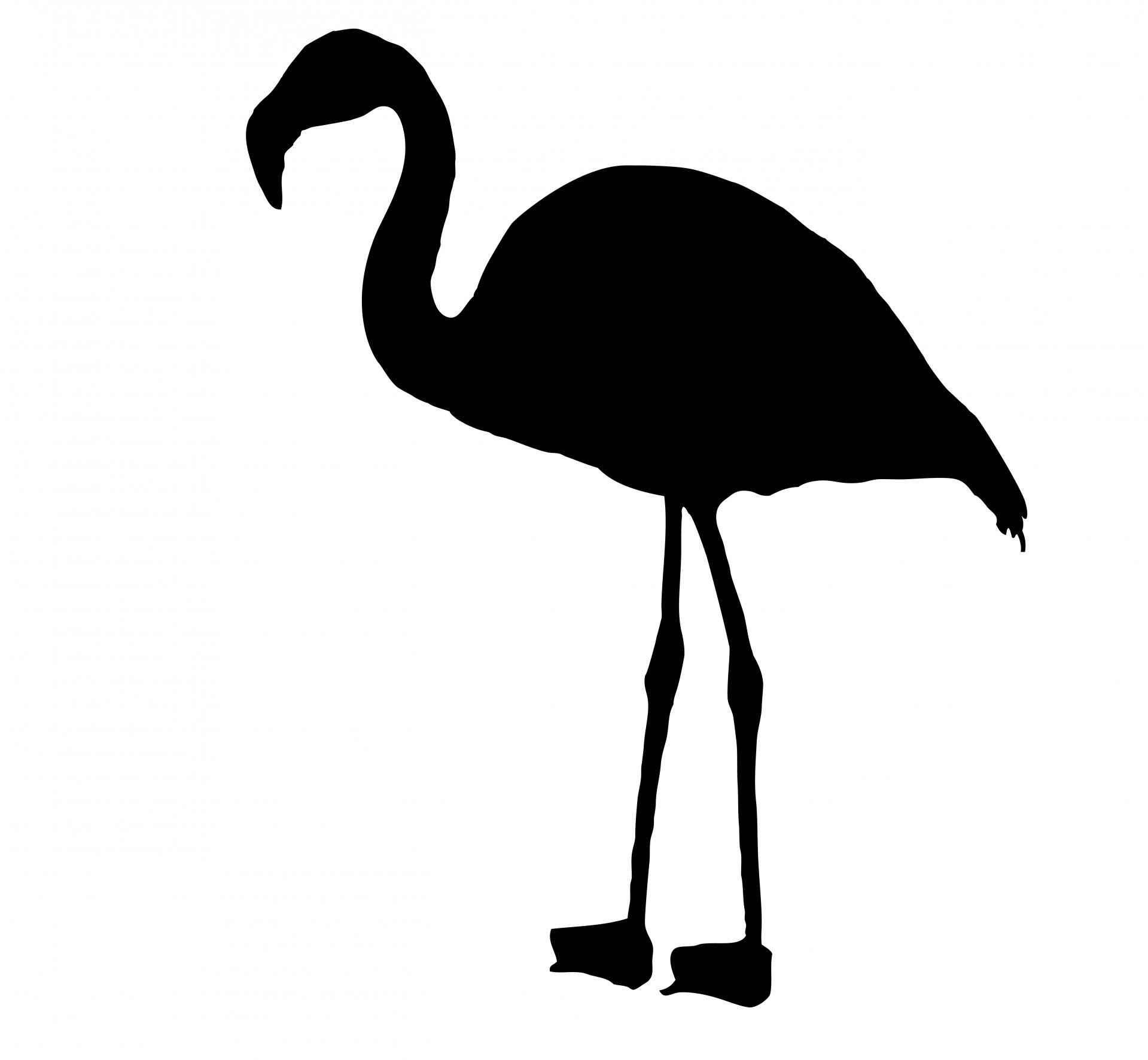 1919x1772 Flamingo Bird Silhouette Clipart Free Stock Photo Public Domain