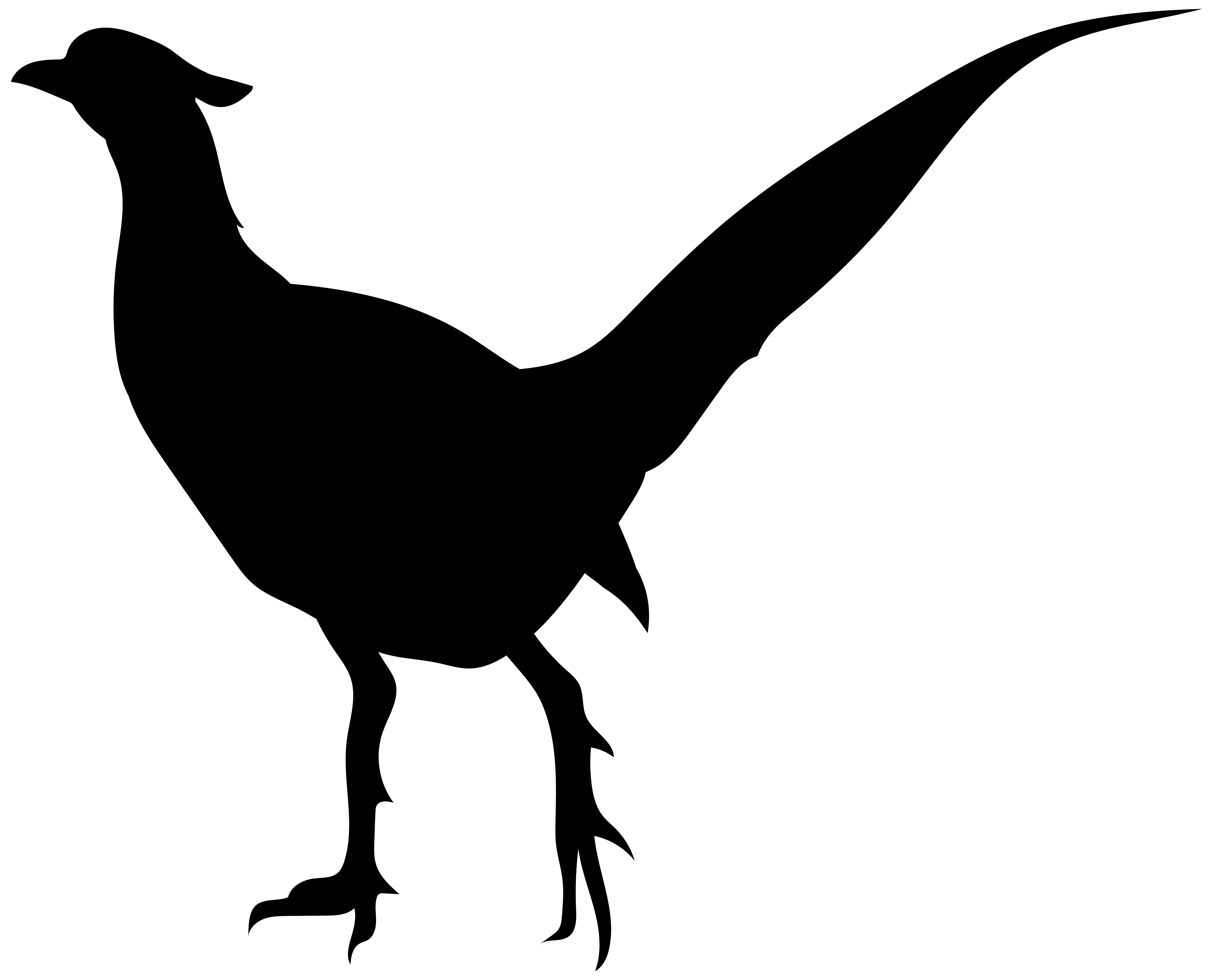 8000x6462 Edit And Free Download Bird Silhouette Png Transparent Clip Art Image