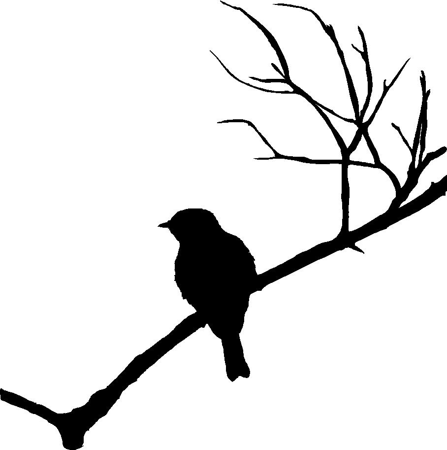908x913 Bird Branch Silhouette Clip Art