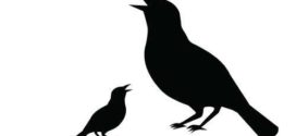 272x125 Bird Silhouette Free Clipart Design Download On Bird Silhouette