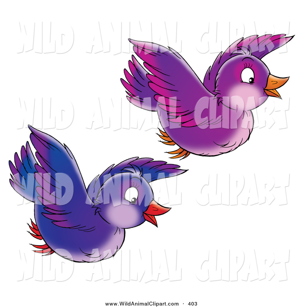 1024x1044 Clip Art Of A Two Purple And Blue Singing Birds Flying Together