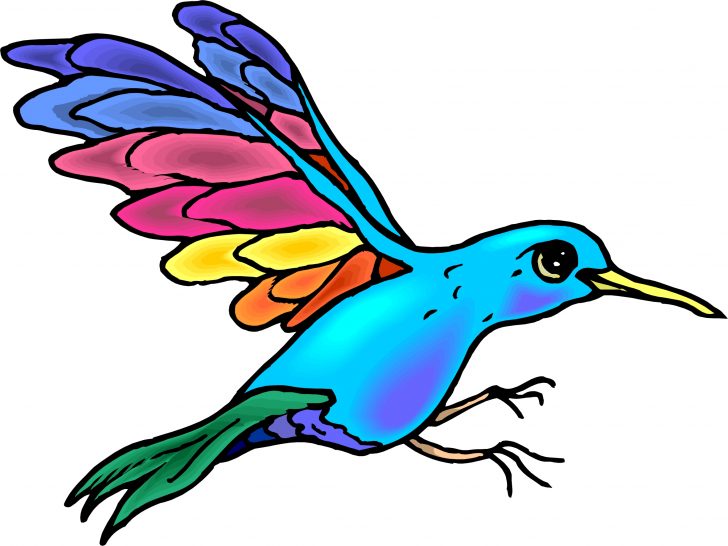 728x546 Animated Bird Cliparts Clip Art Birds Clipart Funny Cartoon