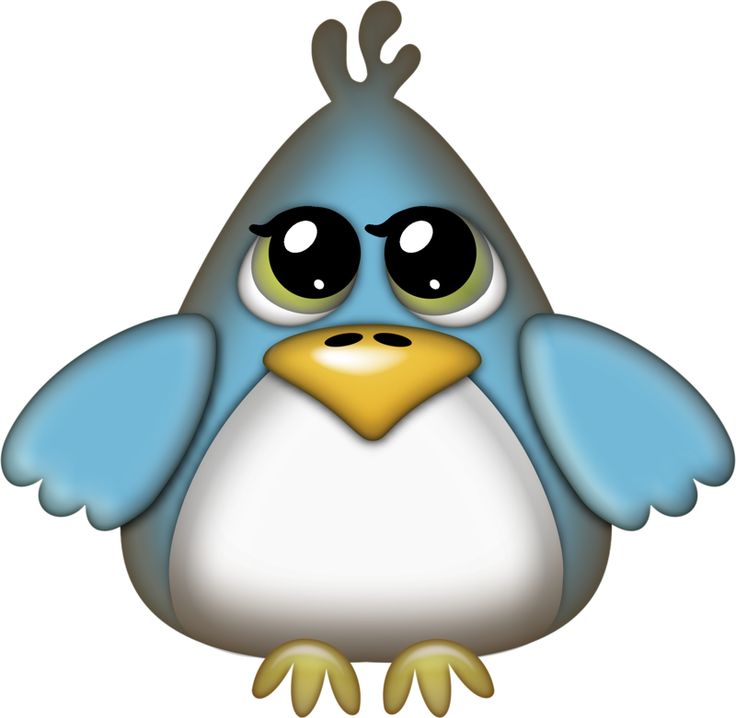 736x718 757 Best ~ Birds Amp Birdhouses ~ Images Diy