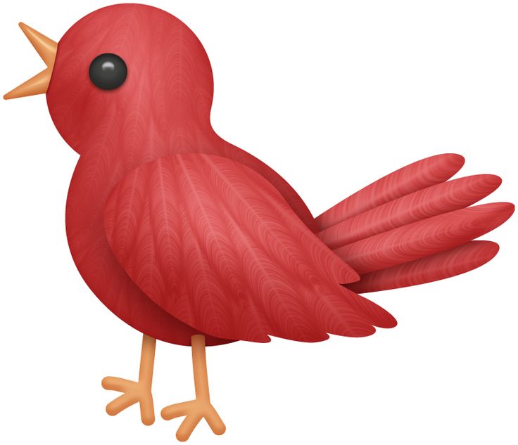 736x633 Bird House Clipart Bird Watching