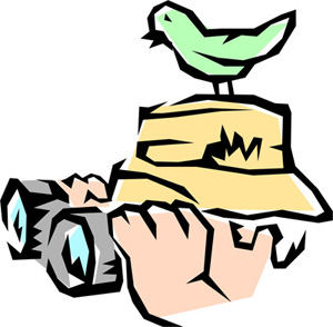 300x294 Bird Watching Group