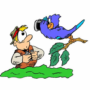 300x300 Clip Art Of A Bird Watching A Clipart Panda