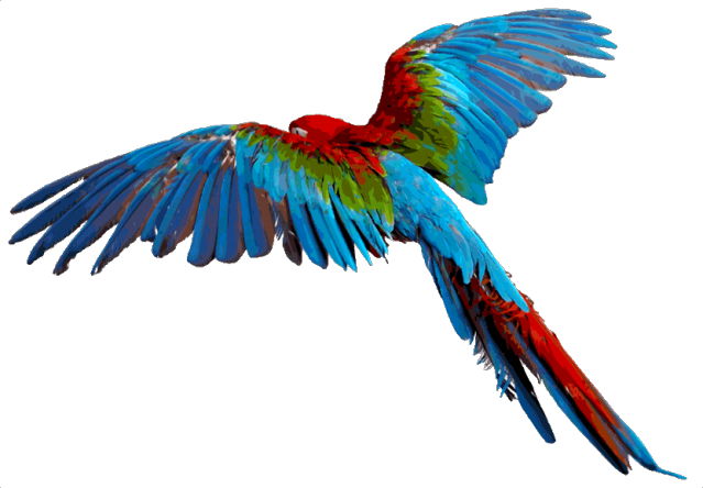 639x444 Bird Wings Clipart