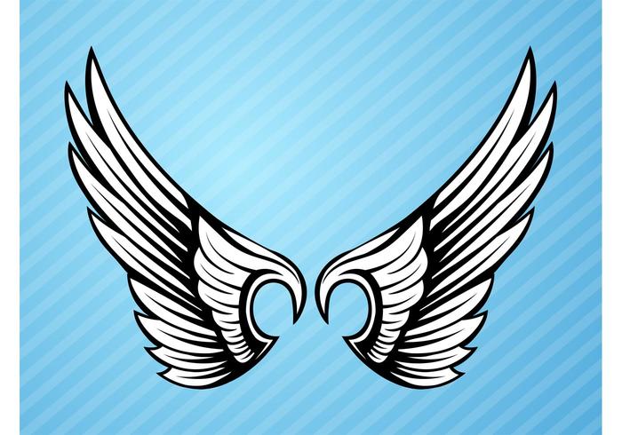 700x490 Black And White Bird Wings Element