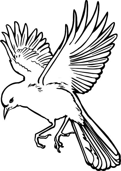 420x596 Bird Outline Clip Art Many Interesting Cliparts