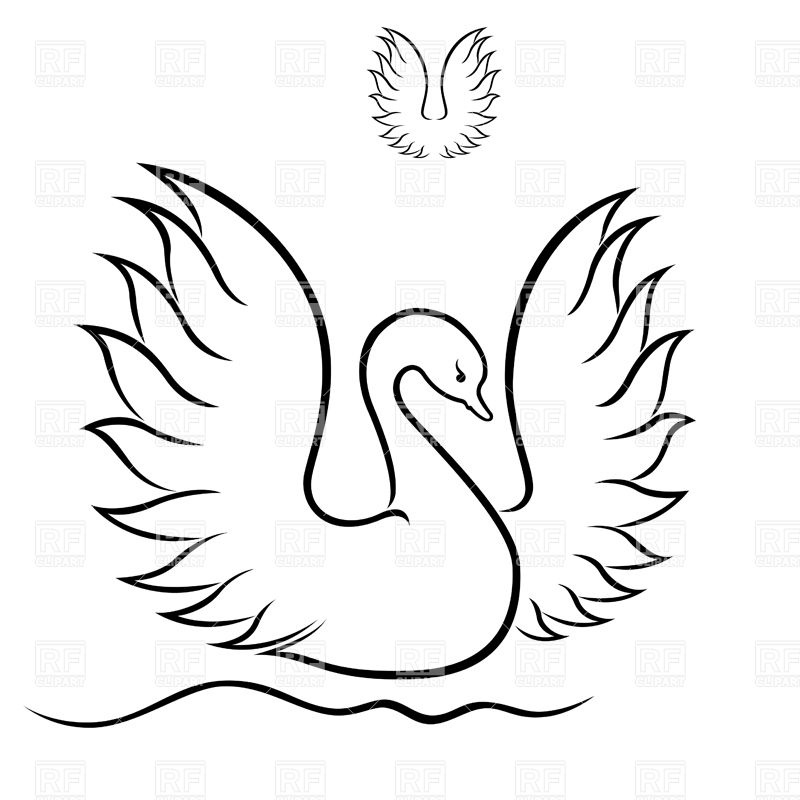 800x800 Contour Of Swan With Raised Wings Floating On The Water Royalty