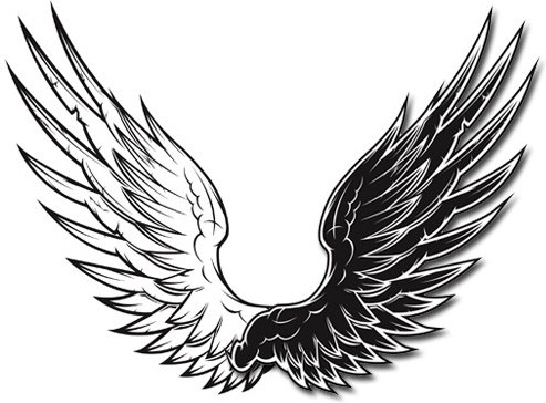 493x364 White Bird Wings Free Vector Download (10,237 Free Vector)