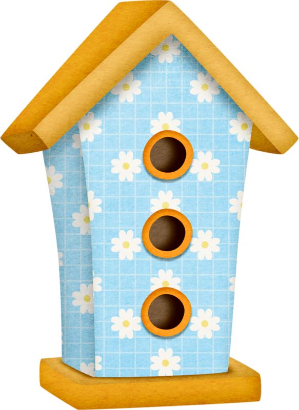 583x800 398 Best ~presi Bird ~ Images Owl, Baby Owl And Bird