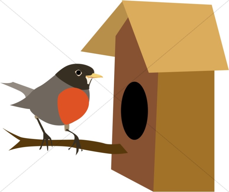776x652 Top 81 Robin Clip Art