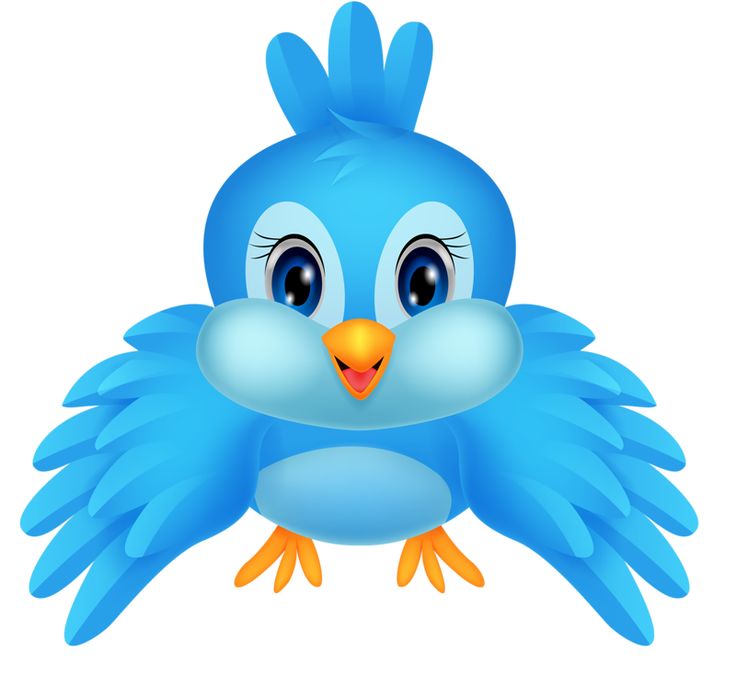 736x676 27 Best Clipart