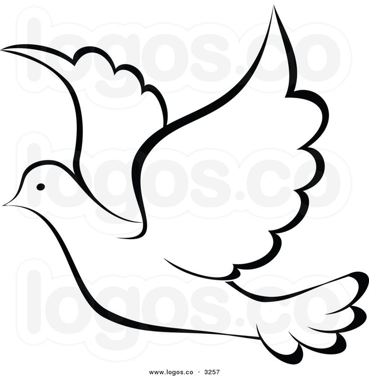 736x750 28 Best Dove Drawings Images Drawings, Art Clipart