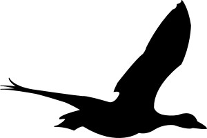 300x200 Flying Bird Clip Art Free Vector In Open Office Drawing Svg Svg