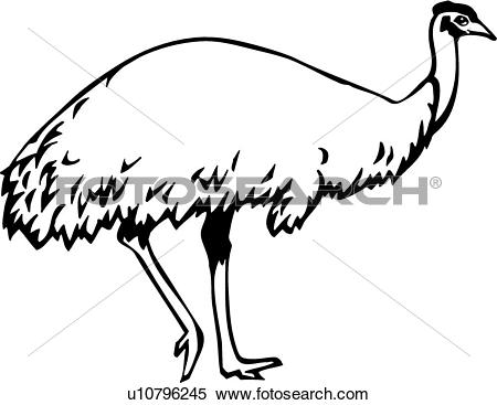 450x367 Top 91 Emu Clip Art