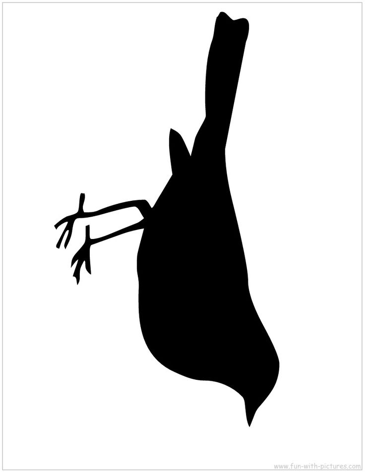 736x952 Best Bird Silhouette Art Ideas Bird Silhouette