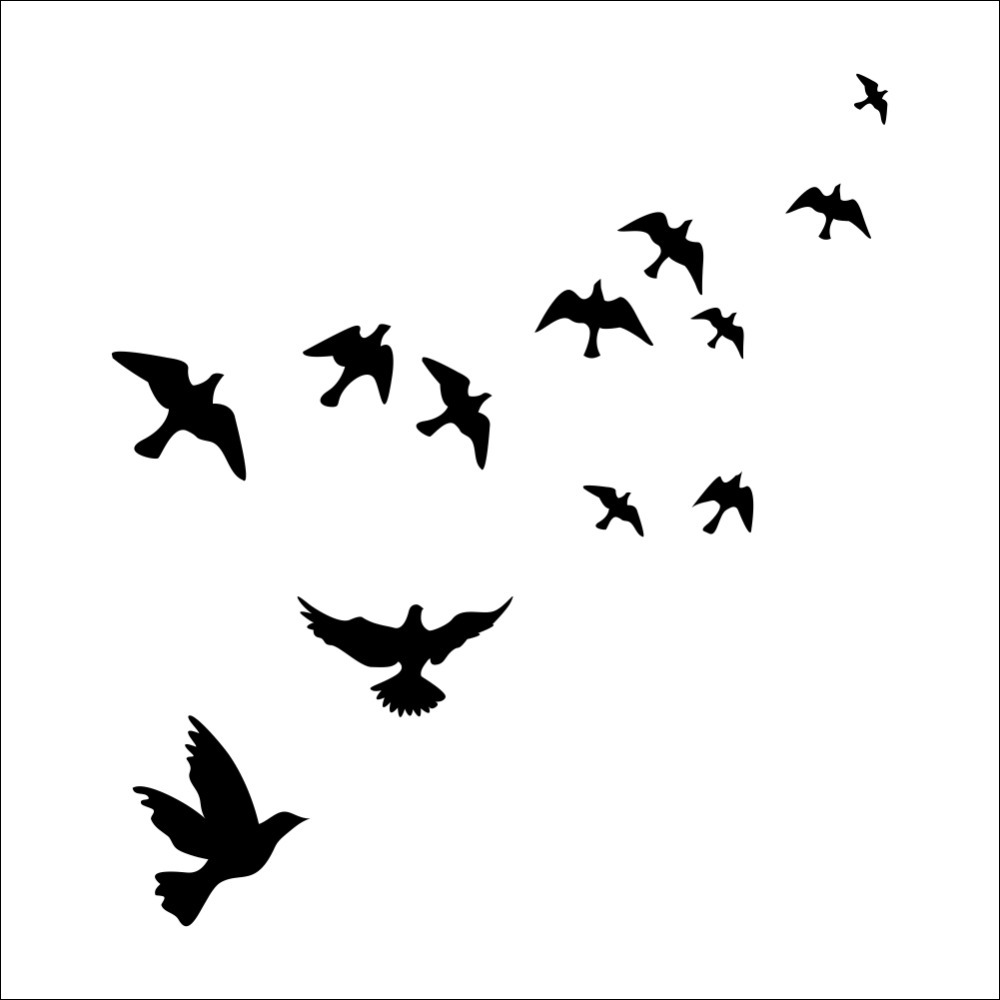 1000x1000 Art Of Flying Birds Best Bird 2017