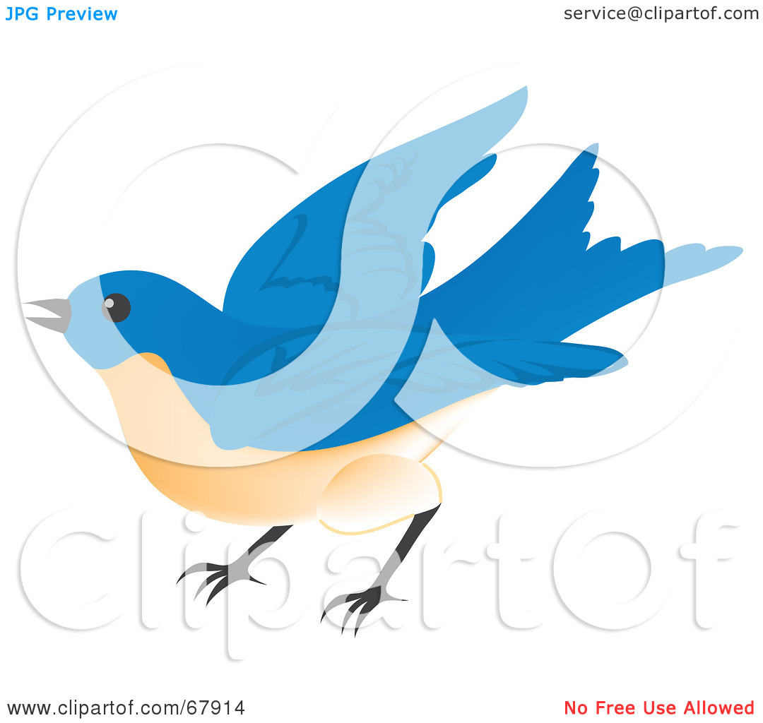 1080x1024 Fly Away Clipart