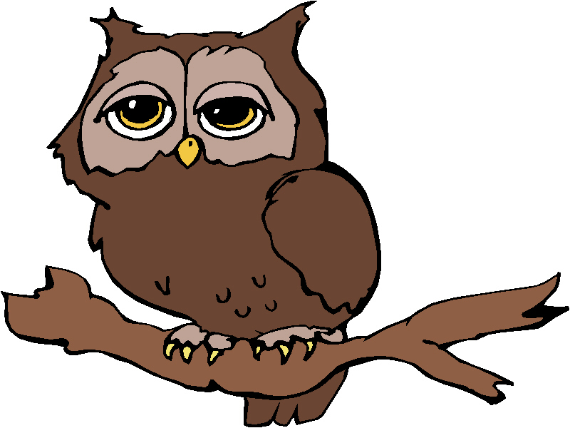 800x600 Bird Of Prey Clipart Cartoon
