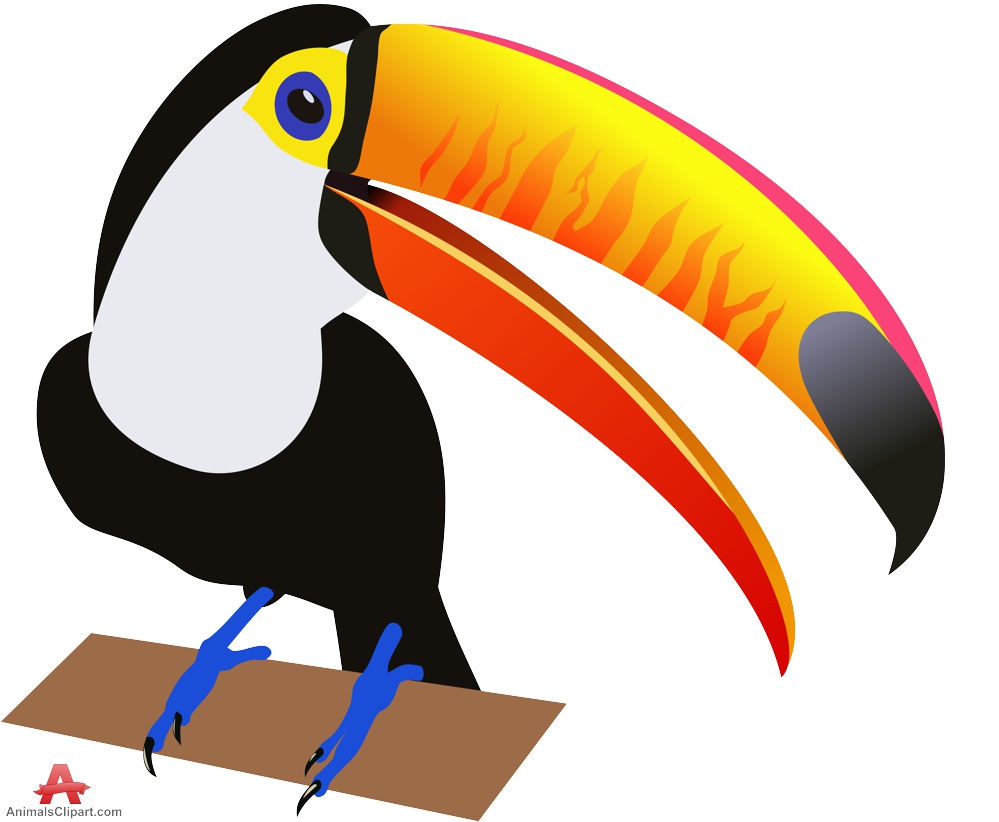 999x822 Birds Animal Clipart, Explore Pictures