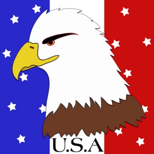 300x300 American Eagle Clipart Image