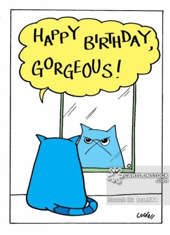 543x750 44 Birthday Wishes With Cartoons Greetings Amp Photos