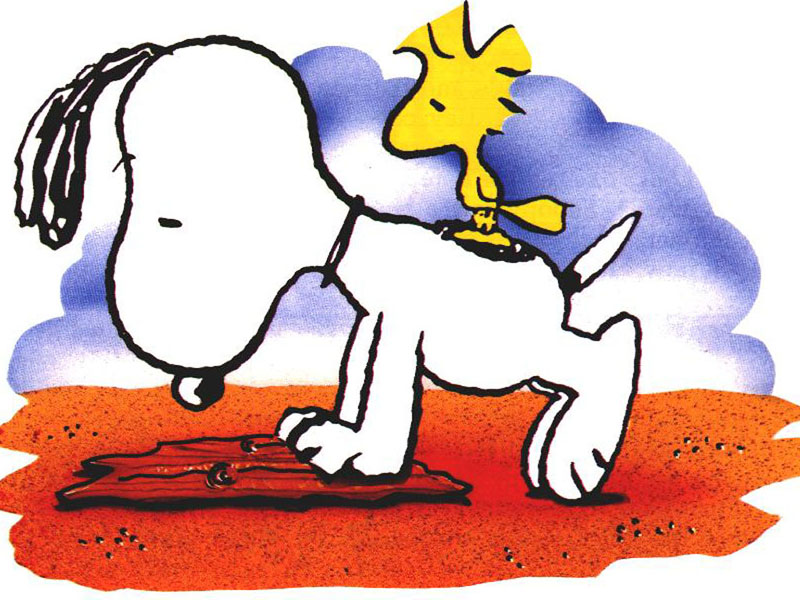 800x600 Snoopy Birthday Clip Art So Kute Birthday Cakes With Name