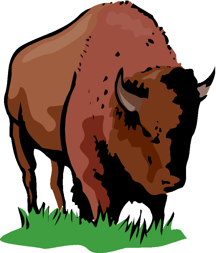 750x879 Bison Clipart Buffalo