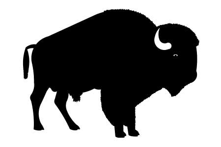 450x300 Bison Clipart Buffalo Head