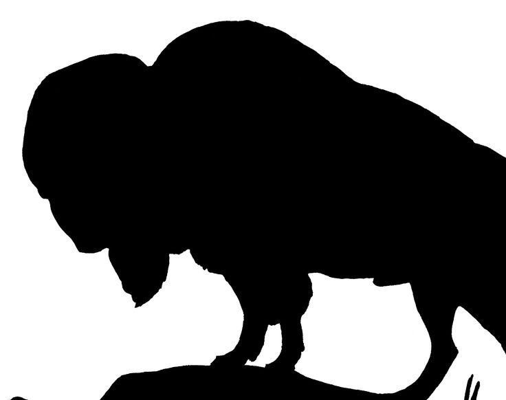 736x582 45 Best Buffalo Silhouette Images American Art
