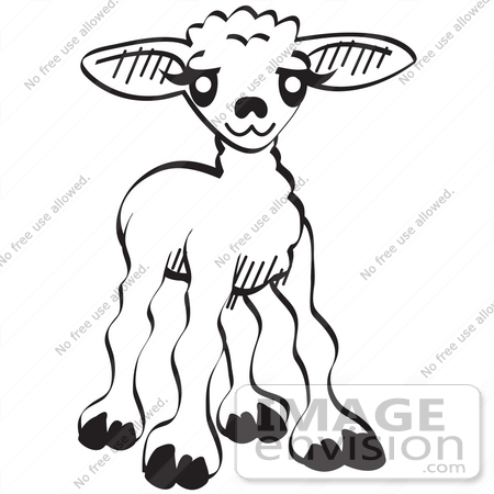 450x450 Royalty Free Cartoon Clip Art Of A Little Baby Lamb, Black