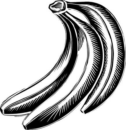 435x450 Stock Illustration