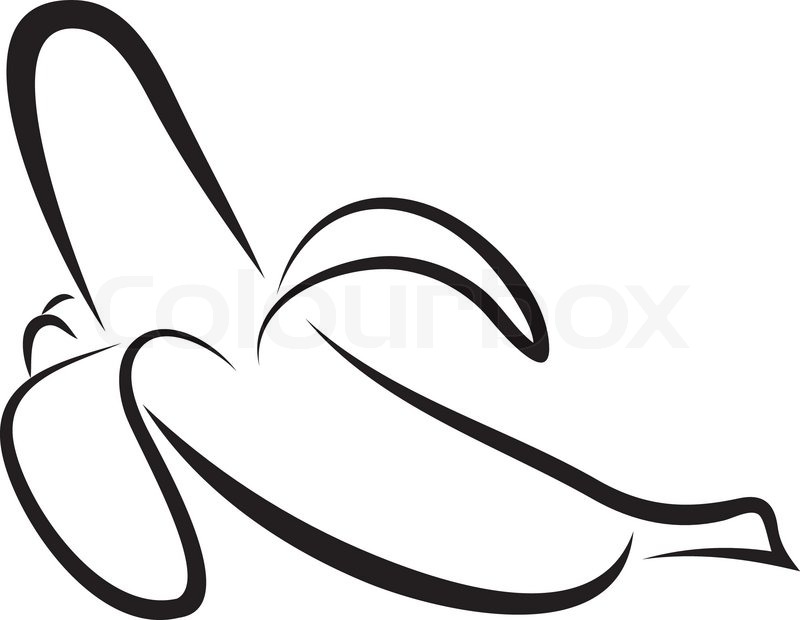 800x620 Artistic Outline Sketch Of Banana. Vector Illustration Stock