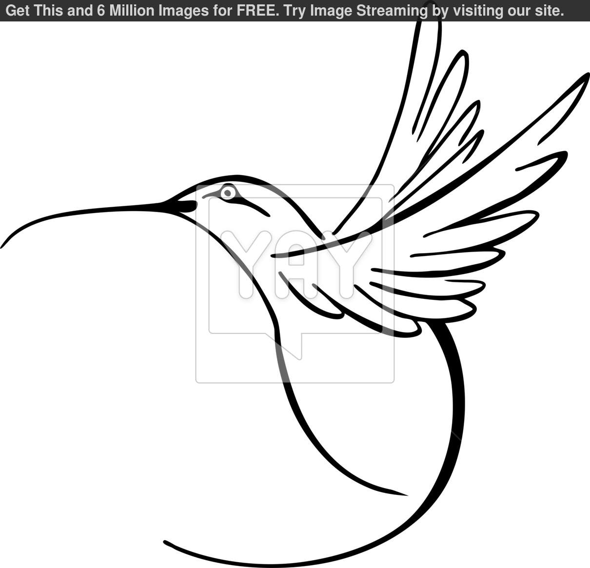 1210x1165 Clip Art Black And White Hummingbird Clipart