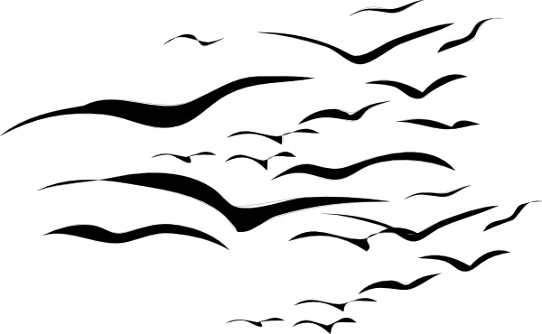 600x370 Flock Of Birds Clip Art Free Vector In Open Office Drawing Svg