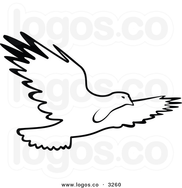 600x620 Sea Bird Clipart Black And White