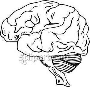 300x291 Brain In Black And White