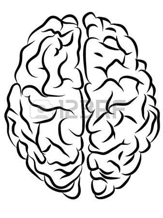 337x450 Vector Black And White Brain Contours, Cartoon Style Royalty Free