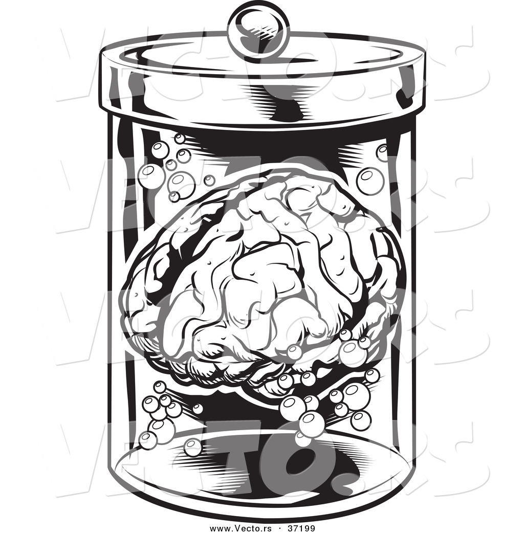 1024x1044 Vector Of A Human Brain In A Jar