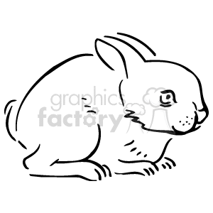 300x300 Royalty Free Black And White Bunny 129476 Vector Clip Art Image