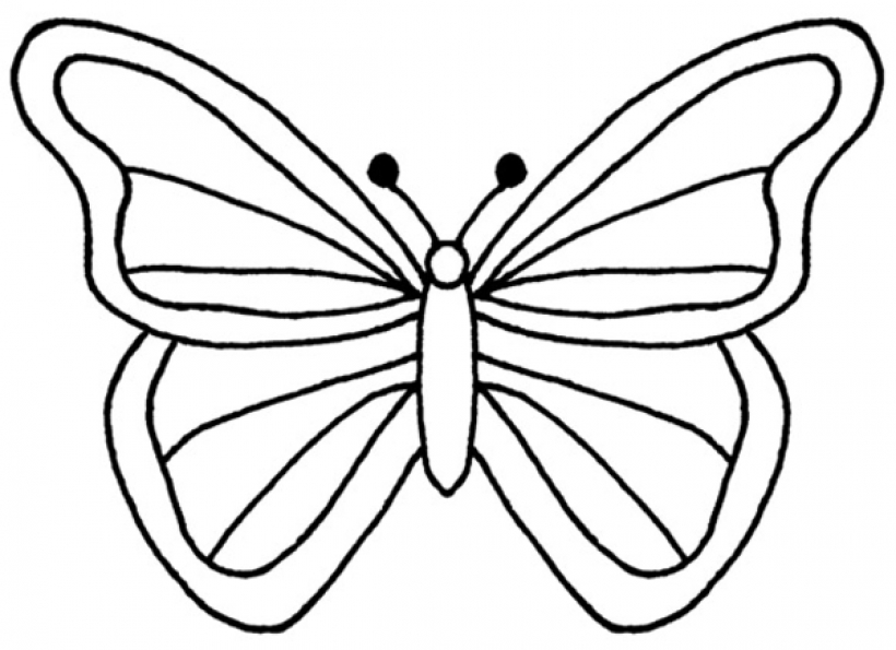 820x595 Butterfly Clipart Butterfly Outline