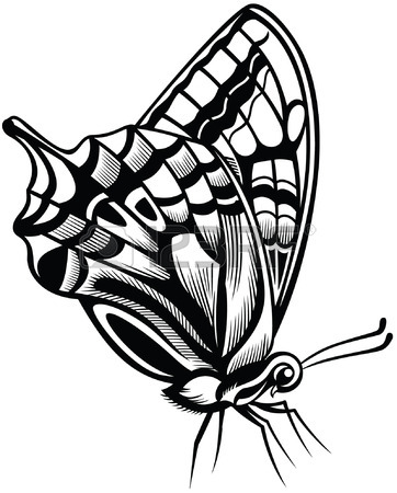 362x450 Decorative Butterfly, Black And White Style Royalty Free Cliparts